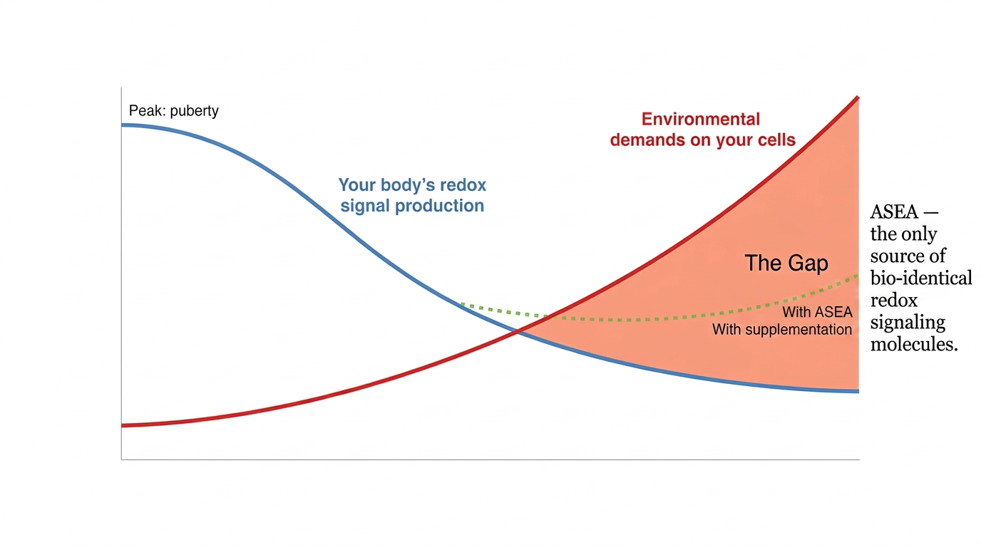 Graph showing the widening gap between declining redox signal production and increasing environmental demands, with ASEA supplementation narrowing the gap